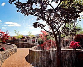 The Water Garden At Mayfield Garden - Gold Coast Attractions 2