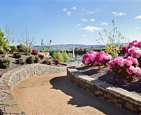 The Water Garden At Mayfield Garden - Gold Coast Attractions 4