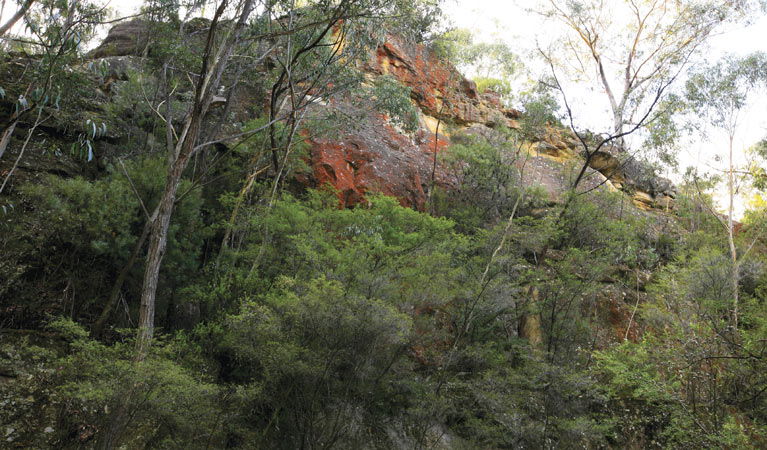 Doctors Gap NSW Gold Coast Attractions