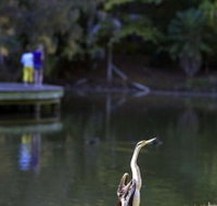 Birdwatching in the South Burnett - Gold Coast Attractions