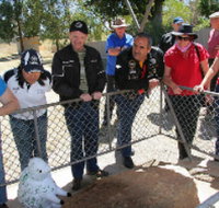 Fossil Rock - Gold Coast Attractions
