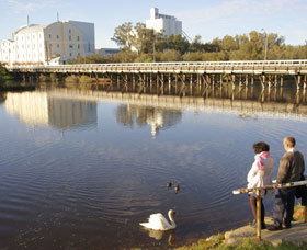 Avon River - Gold Coast Attractions 1