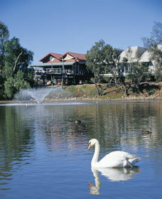 Avon River - Gold Coast Attractions 3