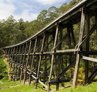 Noojee Trestle Bridge - Gold Coast Attractions