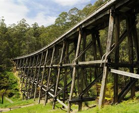 Noojee Trestle Bridge - Gold Coast Attractions 0
