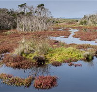 French Island National Park - Gold Coast Attractions