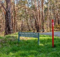 Lobs Hole Ravine 4WD Trail - Gold Coast Attractions