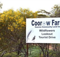 Coorow Farm Wildflower Trail - Gold Coast Attractions