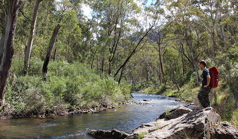 Yarrangobilly Caves - Gold Coast Attractions 1