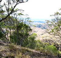 Boat Mountain Conservation Park - Gold Coast Attractions