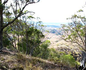 Boat Mountain Conservation Park - Gold Coast Attractions 0