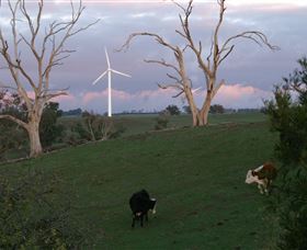 Crookwell Wind Farm - Gold Coast Attractions 1
