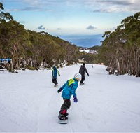Mt Baw Baw Alpine Resort - Gold Coast Attractions