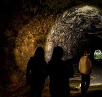 Newnes Plateau - Gold Coast Attractions