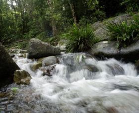 Washpool National Park - Gold Coast Attractions 0