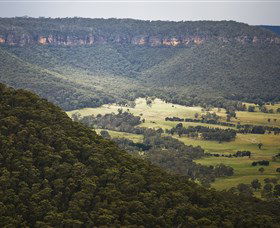 Hassans Walls Lookout - Gold Coast Attractions 1