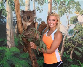 Maru Koala And Animal Park - Gold Coast Attractions 0