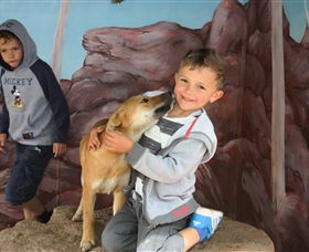 Maru Koala And Animal Park - Gold Coast Attractions 3