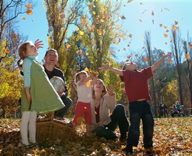 Cotter Avenue Recreation Area - Gold Coast Attractions 0