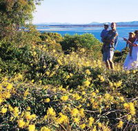 Joseph Banks Conservation Park - Gold Coast Attractions