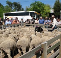 Gold Creek Station - Gold Coast Attractions