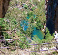 Carlotta Arch walking track - Gold Coast Attractions