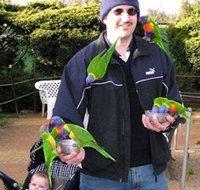 Canberra Walk In Aviary - Gold Coast Attractions