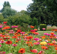 Alma Park - Gold Coast Attractions