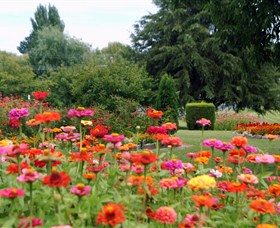 Alma Park - Gold Coast Attractions 0