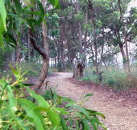 Mount Mutton Walking Trail - Gold Coast Attractions