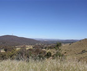 Tennyson ACT Gold Coast Attractions