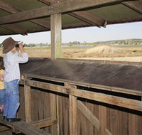 Dangars Lagoon and Racecourse Lagoon - Gold Coast Attractions