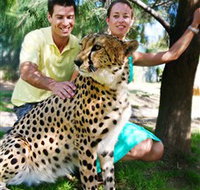 National Zoo  Aquarium - Gold Coast Attractions