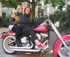 Wild Ride Harley And Motorcycle Tours - Gold Coast Attractions 0