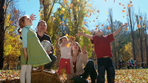 Cotter Avenue Recreation Area - Gold Coast Attractions 3