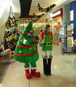 Kangaroo Point NSW Gold Coast Attractions