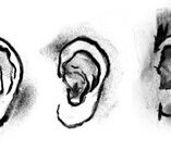 DAB LAB Research Gallery - Gold Coast Attractions