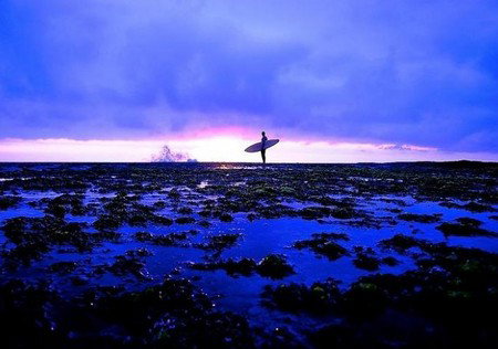 Charles Hewitt Gallery - Gold Coast Attractions 1