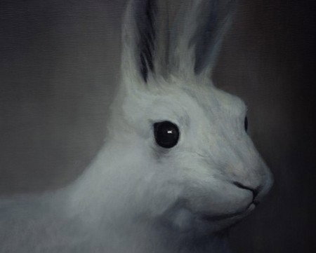 Gallery 9 - Gold Coast Attractions 2