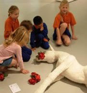 South Maroota NSW Gold Coast Attractions