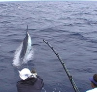 Amokura Charters - Gold Coast Attractions