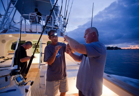 Amokura Charters - Gold Coast Attractions 1