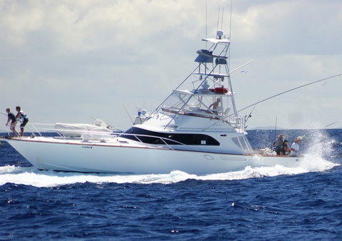 Amokura Charters - Gold Coast Attractions 2