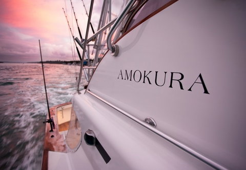 Amokura Charters - Gold Coast Attractions 4