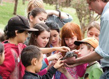 Blackbutt Reserve - Gold Coast Attractions 2