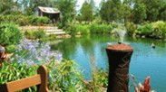 Gone Walkabout Safaris - Gold Coast Attractions 0