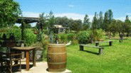 Gone Walkabout Safaris - Gold Coast Attractions 2