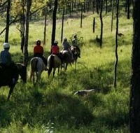 Hunter Valley Horse Riding and Adventures - Gold Coast Attractions