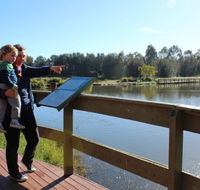 Hunter Wetlands Centre Australia - Gold Coast Attractions