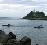Newcastle Kayak Tours - Gold Coast Attractions
